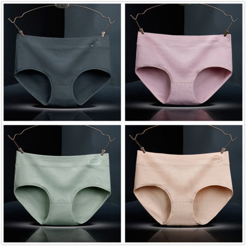 French Cut Elastic Waist Stylish Underwear Plain Color Mini Panty Women Undergarments - Light Gray - Shop N Save