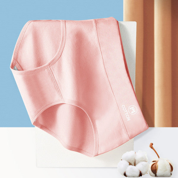 Stylish High Waist Brief Underwear Soft Summer Fabric Elastic Closure Mesh Pattern Underwear - Pink - Shop N Save