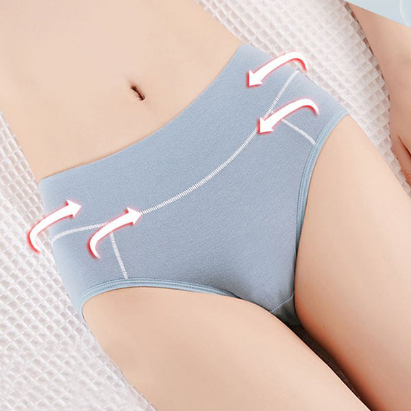 Comfortable and Chic Blue Seamless Slim Fit Cotton Panties Elastic Waist Spandex Blend Women\'s Casual Underwear Lingerie