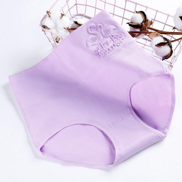 Ultimate Comfort High Waist Soft Breathable Elasticized Innerwear Women's Underwear - Light Purple - Shop N Save