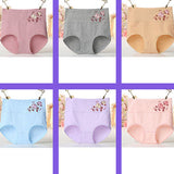 High Elastic Waist Floral Print Girls Panty Brief Women Undergarments Soft Fabric Underwear - Light Pink - Shop N Save