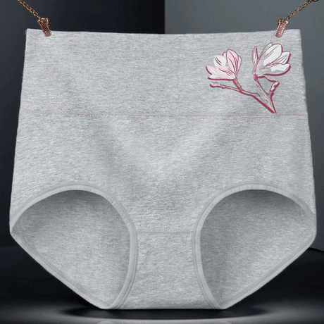 High Elastic Waist Underwear Briefs Women Undergarments Comfortable Summer Wear Panty - Gray - Shop N Save
