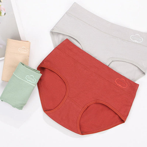 French Cut Elastic Waist Stylish Underwear Plain Color Mini Panty Women Undergarments - Brown