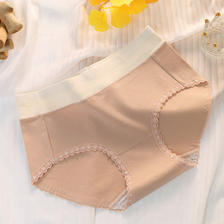 Floral Lace High Waist Briefs Stylish Soft Fabric Women's Underwear - Skin - Shop N Save