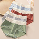 Floral Lace High Waist Briefs Stylish Soft Fabric Women's Underwear - Skin - Shop N Save