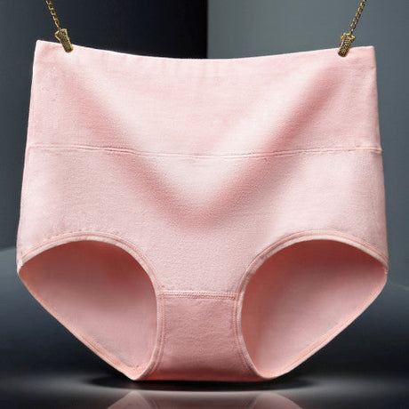 Belly Shaper High Elastic Waist Underwear Brief Stylish Plain Color Women Undergarments - Pink - Shop N Save