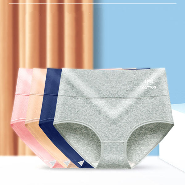 Stylish High Waist Brief Underwear Soft Summer Fabric Elastic Closure Mesh Pattern Underwear - Light Blue - Shop N Save
