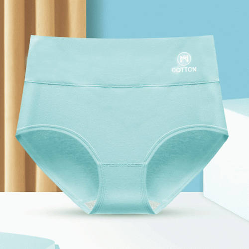 Stylish High Waist Brief Underwear Soft Summer Fabric Elastic Closure Mesh Pattern Underwear - Light Blue - Shop N Save
