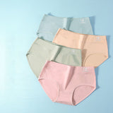 Stylish High Waist Brief Underwear Soft Summer Fabric Elastic Closure Mesh Pattern Underwear - Skin - Shop N Save