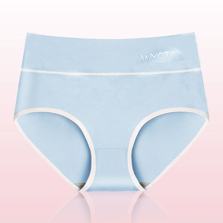 Stylish Cotton Blend Underwear for Women Breathable Soft Fabric Elastic Waist Blue Hipsters for Casual Comfort - Shop N Save