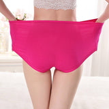 Floral Print Hipsters Soft Breathable Women\'s Panty in Rose Pink. Stylish Underwear with Elastic Waist. Normal fit. - Shop N Save