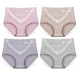 Comfortable Skin Tone Hipster Underwear for Women Soft Fabric Elastic Waist Normal Fit Perfect Inner Wear for Girls - Shop N Save