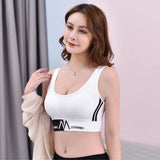 U-Shape Back Borders Sports Women Bra - White - Shop N Save