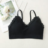 Korean Style Lace Beauty Chest Padded Bra - Black - Shop N Save