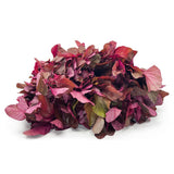 Amaranth Red