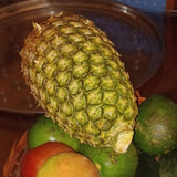Juicy Pineapple: Sweet, Tropical Bliss Packed with Freshness &amp; Nutrients - Shop N Save