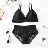 Classy Lace Underwear Suit V-Neck Hollow Out - Black - Shop N Save