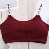 Seamless Bras Detachable Padded Sling Cotton - Wine Red - Shop N Save