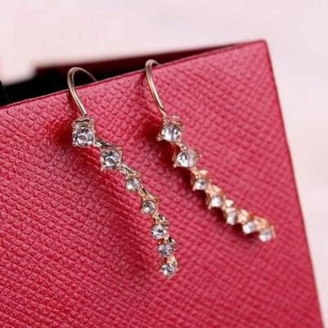 Zircon Earrings For Women Girl Accessories Jewelry - Silver