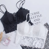 Cross-border supply lace beauty back women Bra - White - Shop N Save