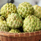 Custard Apple