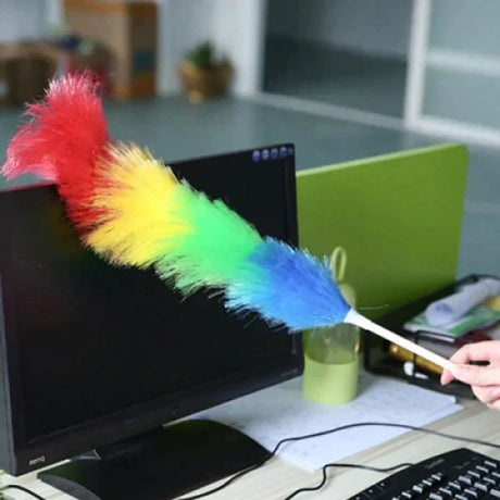 Rainbow Cleaning Dusters Brush