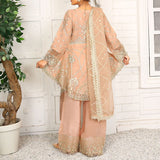 3 Piece Fancy Embroidery Dress - Stylish Light Weight Chiffon Organza Fabric Suit Indian Pakistani Fancy Embroidered Dress For Events Party Outdoor Dress - Rose Pink - Shop N Save