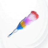 Rainbow Cleaning Dusters Brush