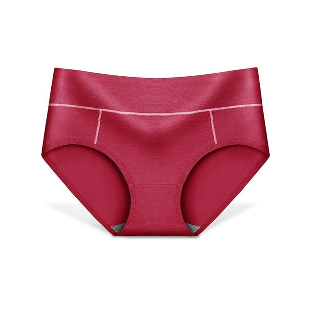 Comfortable High-Rise Women's Briefs: Stylish Fashion Panties for Daily Wear - Shop N Save