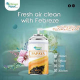 GS Aerosol Spray Papaya (300ML) - Shop N Save