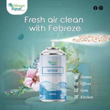 GS Aerosol Spray Sense (300 ML) - Shop N Save